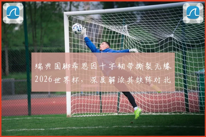 瑞典国脚希恩因十字韧带撕裂无缘2026世界杯，深度解读其缺阵对北欧海盗后防体系的重大影响
